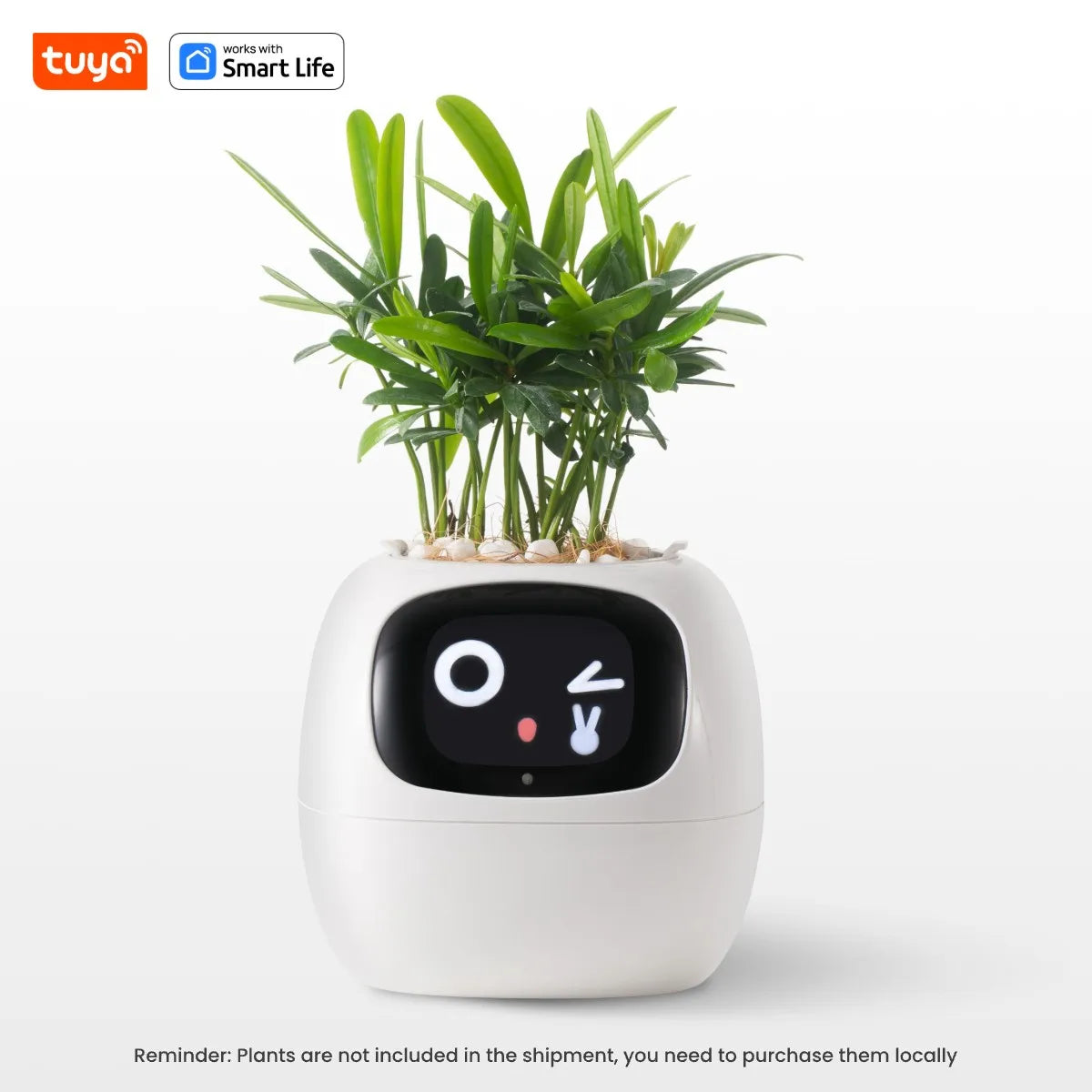 Gen1 Tuya Ivy Smart Planter,Endless Fun Over 49 Rich Expressions,7 smart sensors,AI Chips Make Raising Plants Easy and Fun