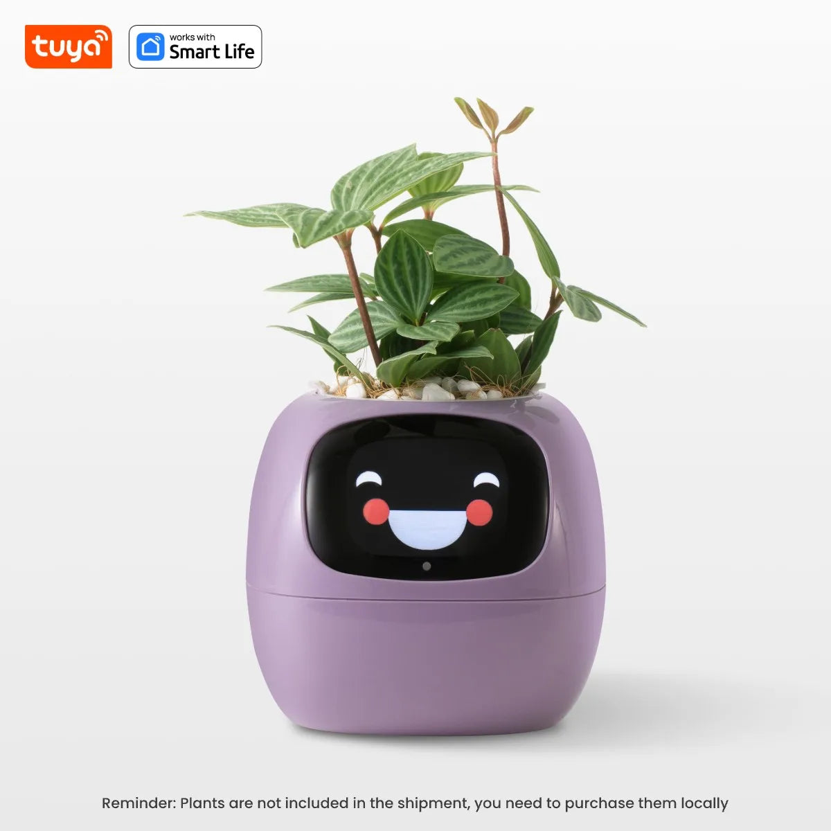 Gen1 Tuya Ivy Smart Planter,Endless Fun Over 49 Rich Expressions,7 smart sensors,AI Chips Make Raising Plants Easy and Fun