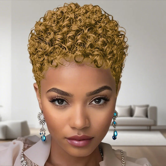 Short Afro Kinky Curly Wigs Human Hair Wig Pixie Cut Wi Short Wig Full Machine Made Wig For Women