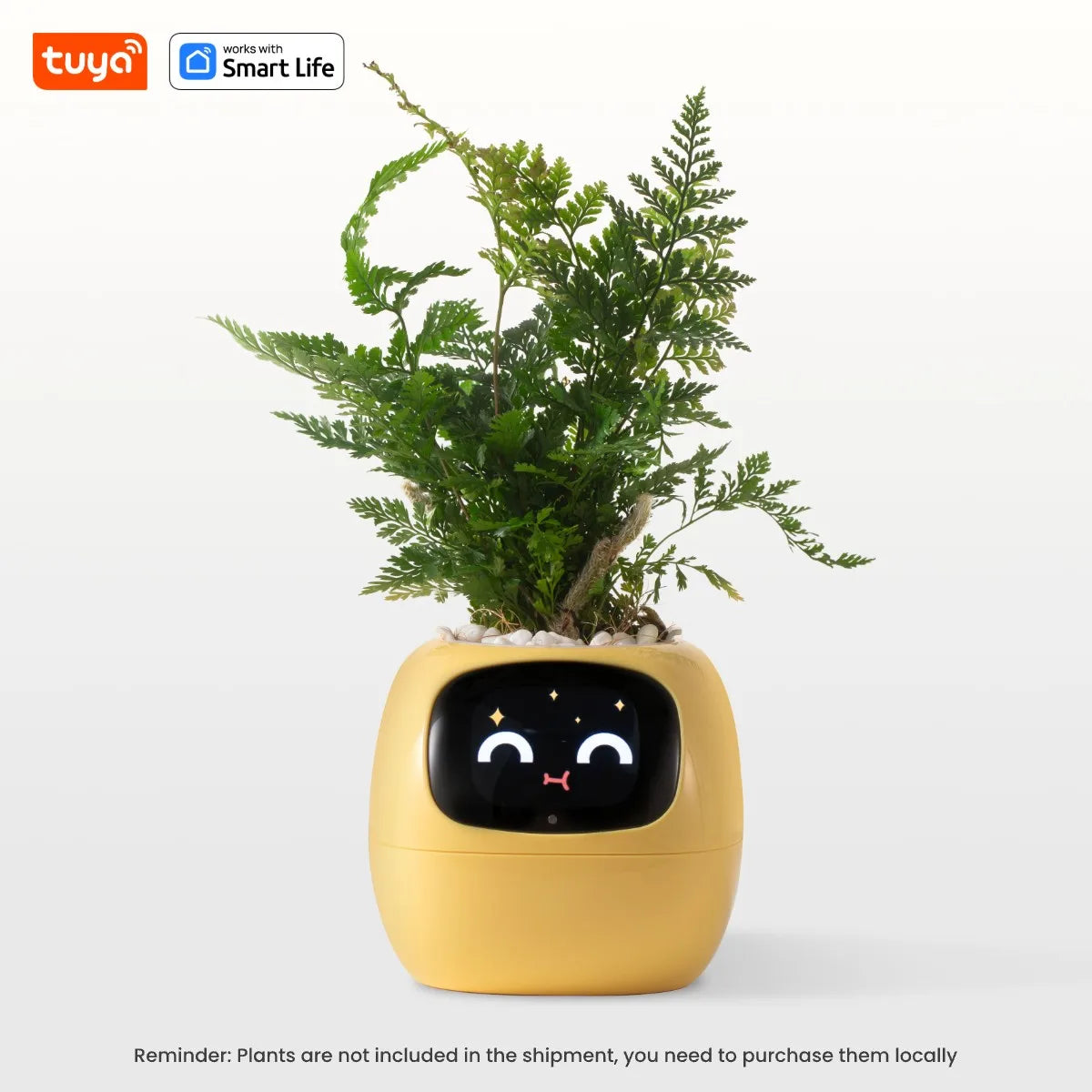 Gen1 Tuya Ivy Smart Planter,Endless Fun Over 49 Rich Expressions,7 smart sensors,AI Chips Make Raising Plants Easy and Fun