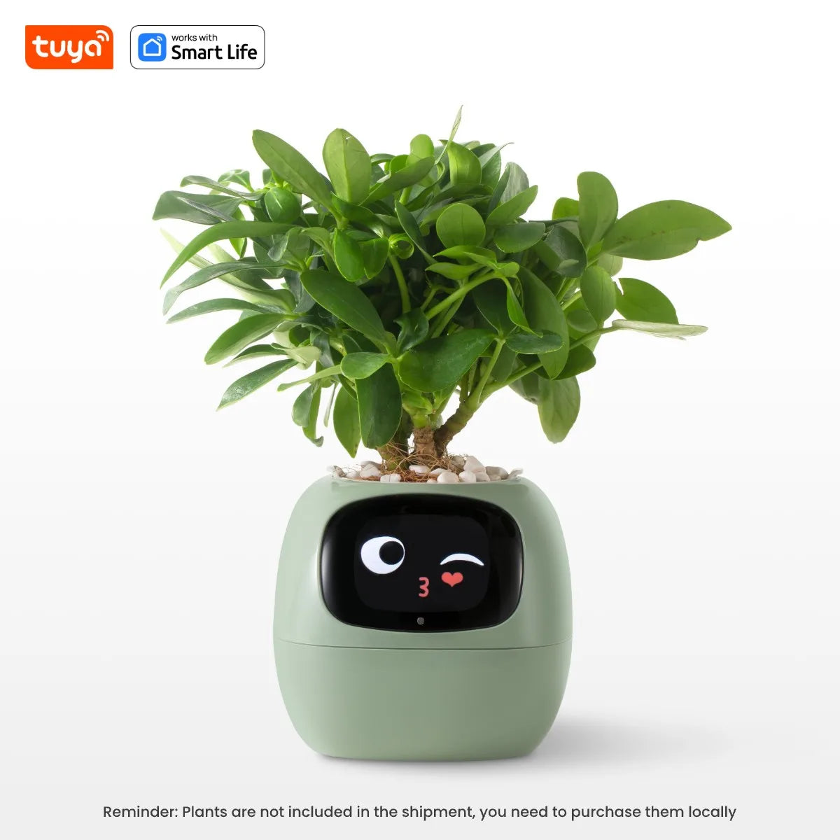 Gen1 Tuya Ivy Smart Planter,Endless Fun Over 49 Rich Expressions,7 smart sensors,AI Chips Make Raising Plants Easy and Fun